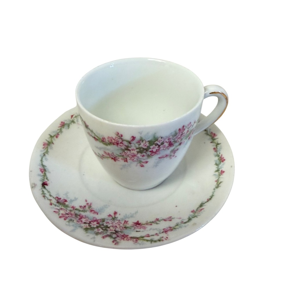RS Germany Tea Cup and Saucer Set White Pink Floral Gold Trim Vintage Porcelain